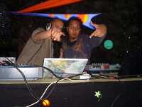 www.zik-world.com