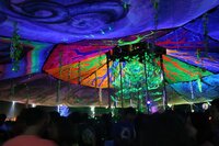 www.zik-world.com